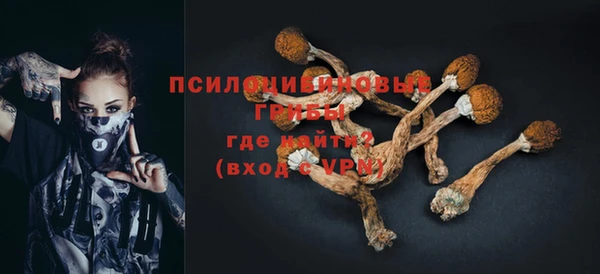 не бодяженный Алексин