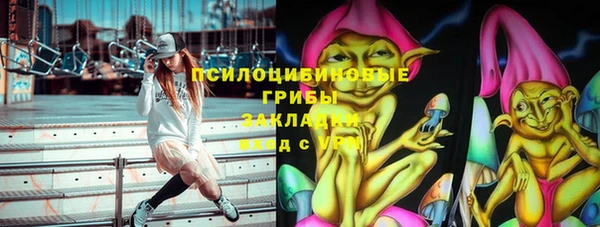 дурь Нея