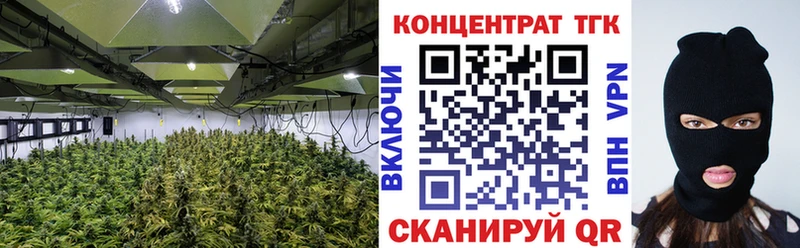 ТГК THC oil  сайты даркнета наркотические препараты  Неман  где продают  